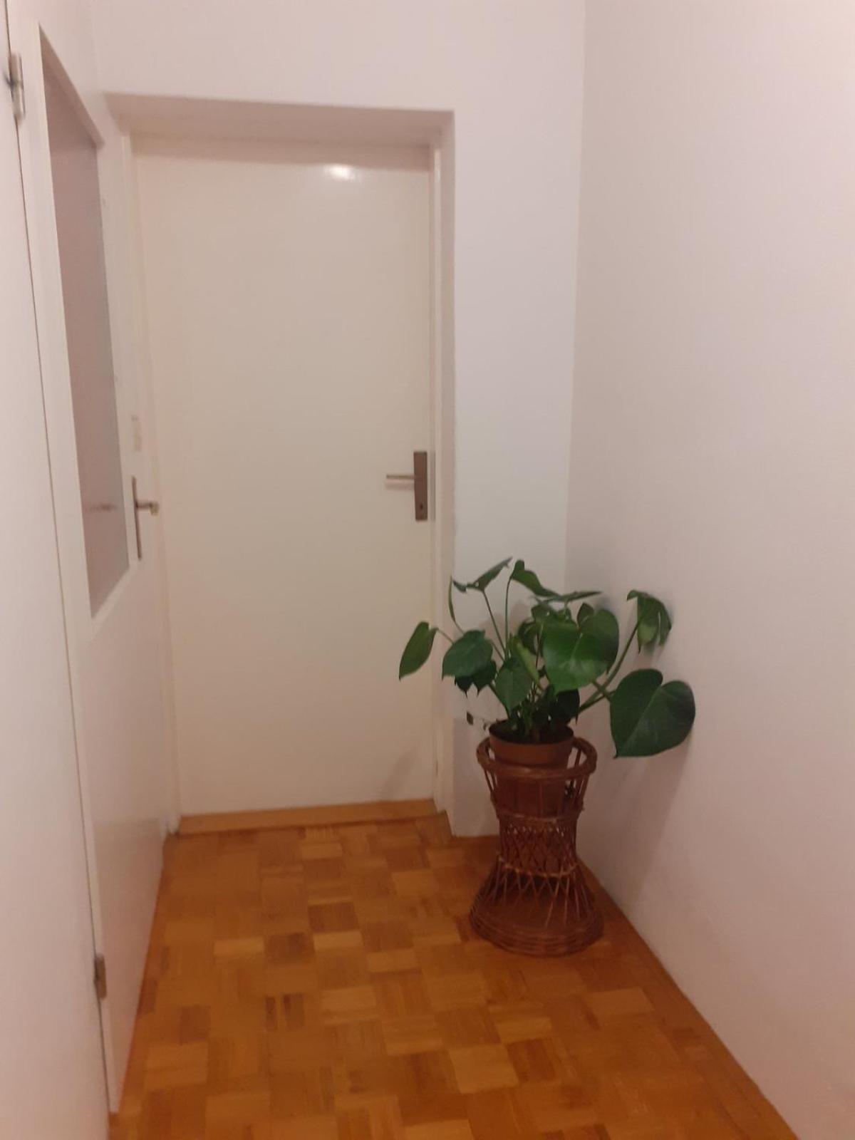 Apartman Sunce Raslina Ngoại thất bức ảnh